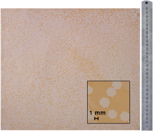 Quần đảo Graphene 300 mm